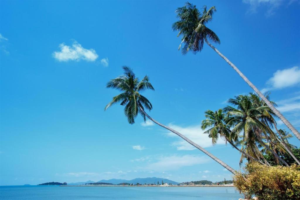 บ้านสวนสุข รีสอร์ท หาดเฉวง ภายนอก รูปภาพ