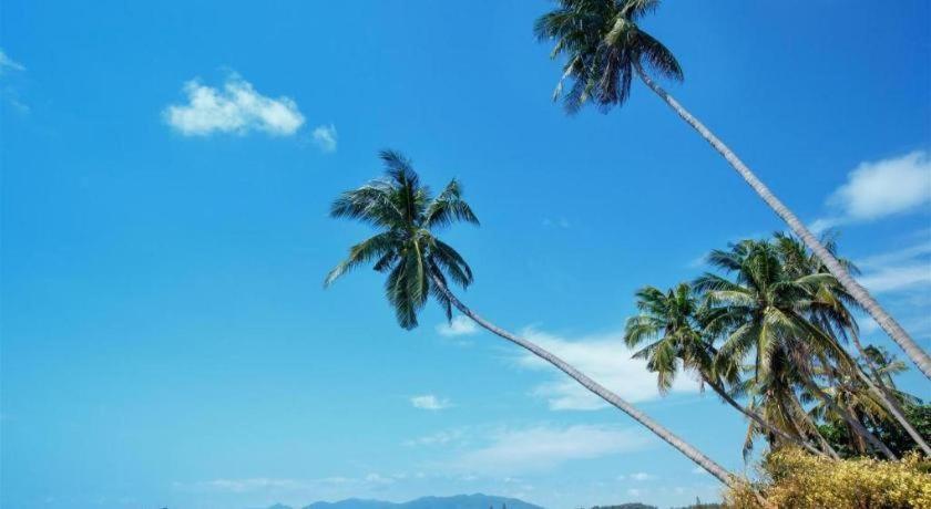 บ้านสวนสุข รีสอร์ท หาดเฉวง ภายนอก รูปภาพ